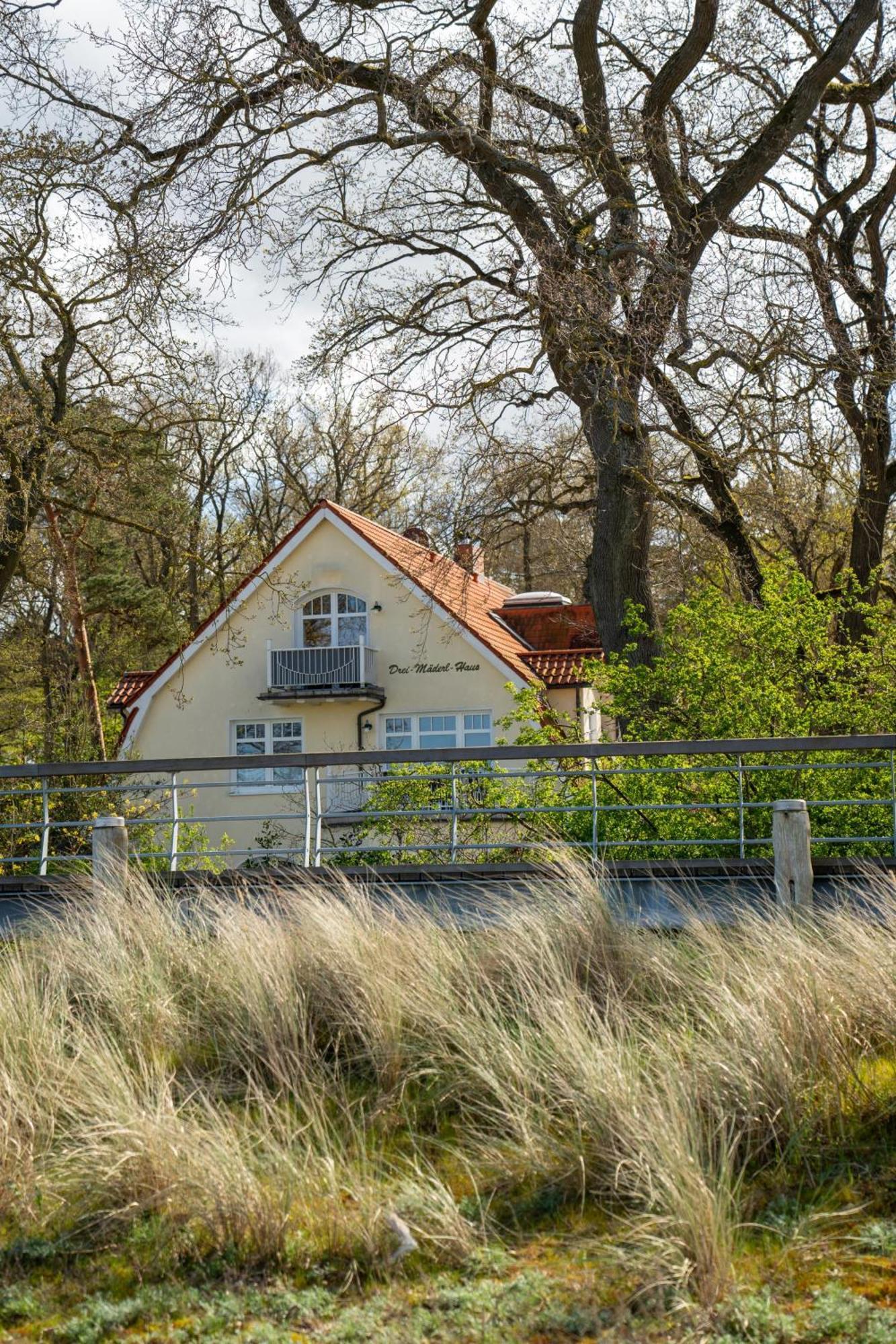 Strandvilla Drei Maederl Haus Boltenhagen  Esterno foto